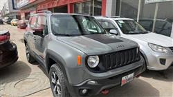 جيب رينيجيد